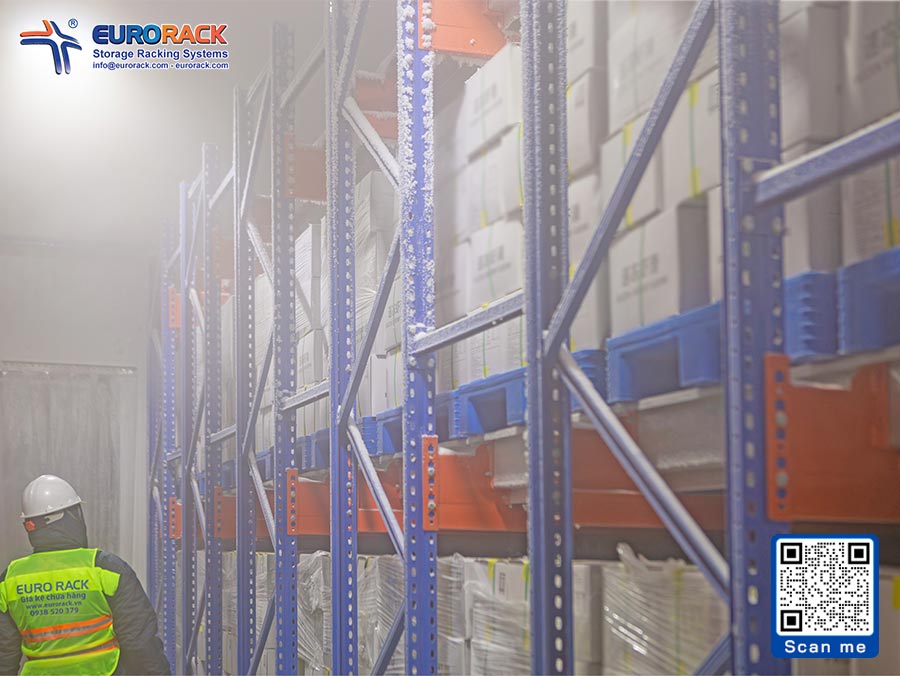 Kệ kho hàng shuttle cho kho lạnh và kho thường