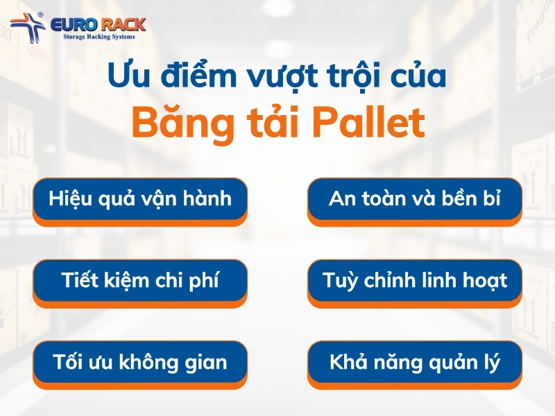 Ưu điểm vượt trội của băng tải Pallet Eurorack